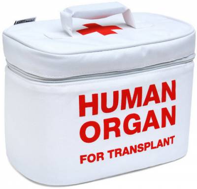 TAX INCENTIVES FOR ORGAN DONATIONS